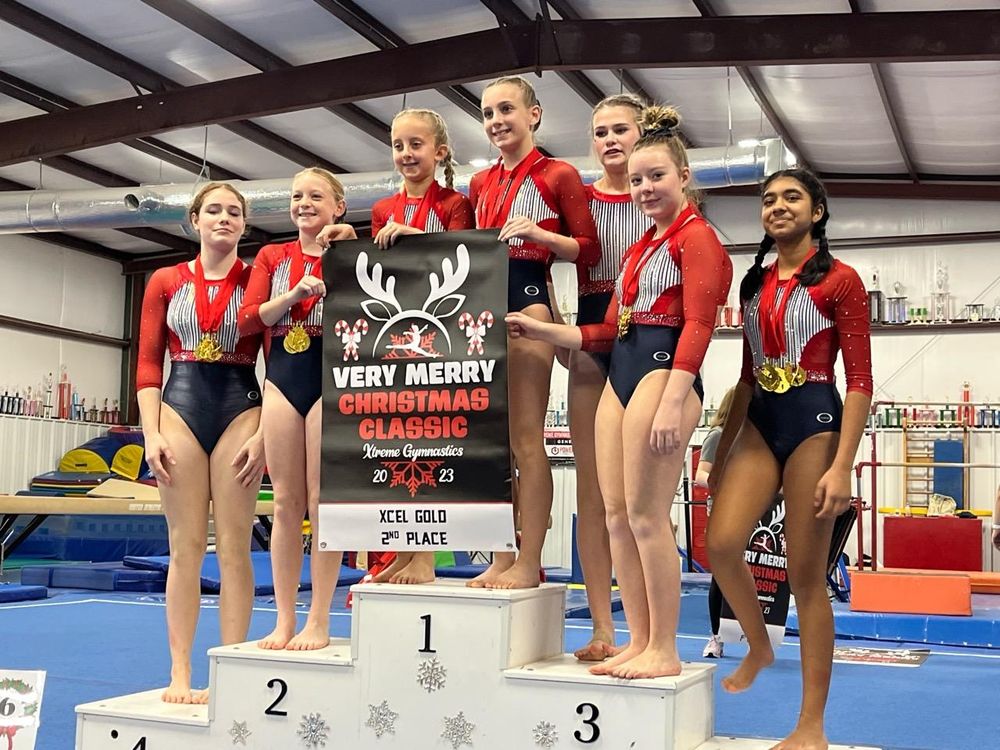 AGA American Gymnastics Academy Logo