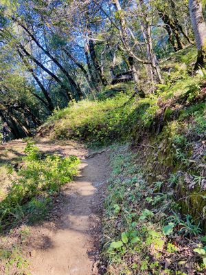 North Sonoma Mountain Regional Park by null