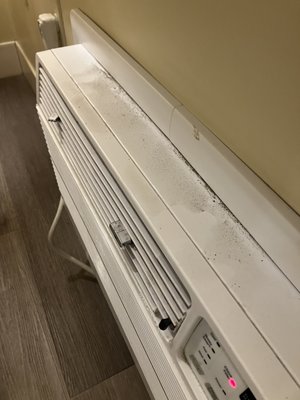 Movie Colony Hotel by null