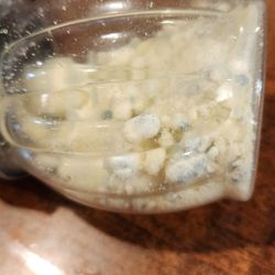 Little Italy - Moldy Parmesan cheese