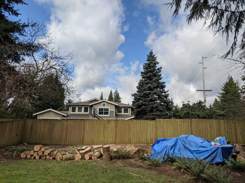 BELRED TREE SERVICE Updated October 2024 Kirkland, Washington