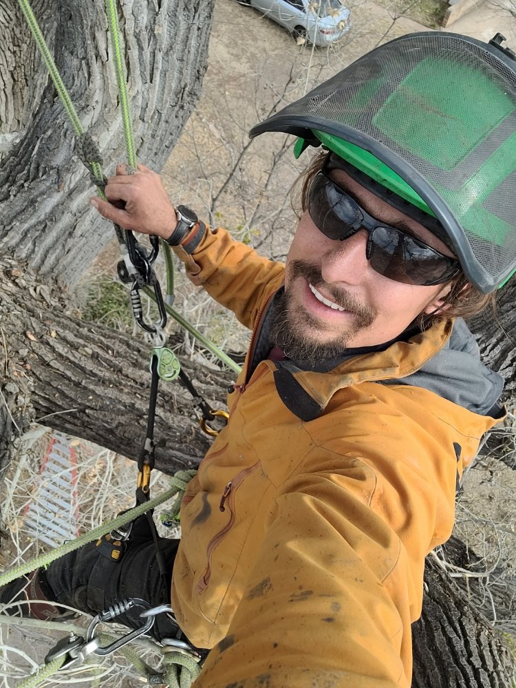 DARK SKY ARBORIST Updated July 2024 14 Photos 3135 W Brenda Lp