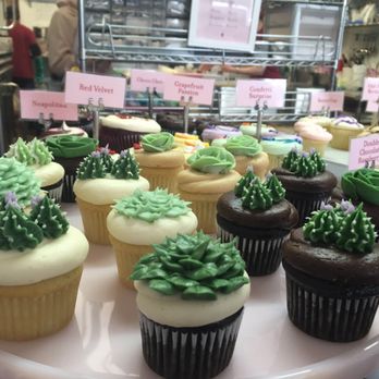 Sibby's Cupcakery - Omg succulent cupcakes! - Cupcakes Near Me - San Mateo, California Sibby's Cupcakery - Omg succulent cupcakes! - Cupcakes Near Me - San Mateo, California