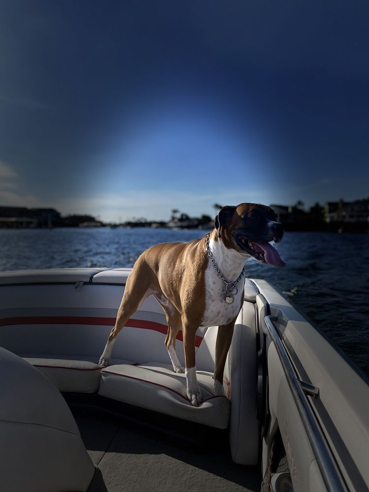 LELANDS MARINE Updated September 2024 18 Reviews 601 Reed St