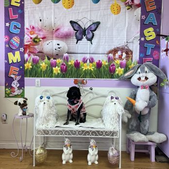 Cupid Doggie Spa - Pet Groomers Near Me - La Habra, California Cupid Doggie Spa - Pet Groomers Near Me - La Habra, California