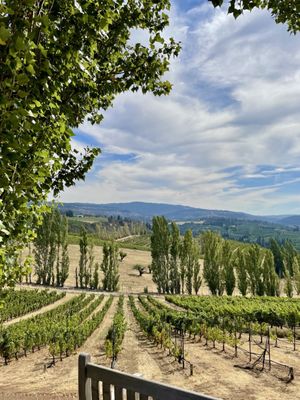 Analemma Wines by null
