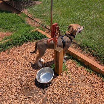 1. Darden Towe Dog Park
