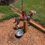 Photo of Darden Towe Dog Park
