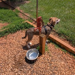 Darden Towe Dog Park - On-site water