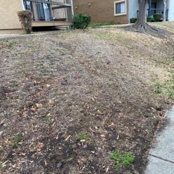 Terracare Associates - Landscaping Near Me - Martinez, California Terracare Associates - Landscaping Near Me - Martinez, California