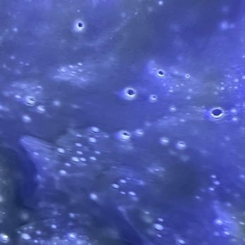 Gate Express Car Wash - Sunroof photos - Car Wash Near Me - Saint Johns, Florida