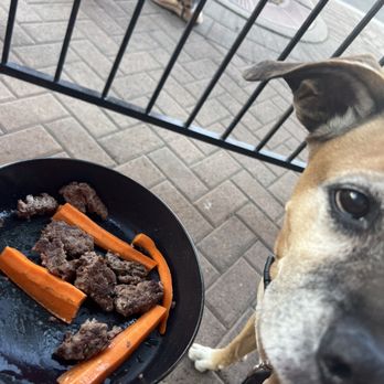 Charly's - Dog entree - Pubs Near Me - Flagstaff, Arizona