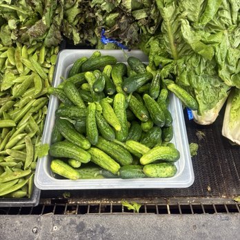 185th Produce - Cukes! - Fruits & Veggies Near Me - Aloha, Oregon