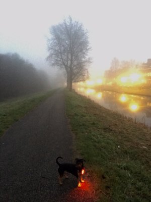 Het Amsterdamse Bos by null