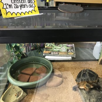 Callander's Nursery Garden Center - Don't forget to say hi to Einstein! - Nurseries & Gardening Near Me - Chatham, New York Callander's Nursery Garden Center - Don't forget to say hi to Einstein! - Nurseries & Gardening Near Me - Chatham, New York