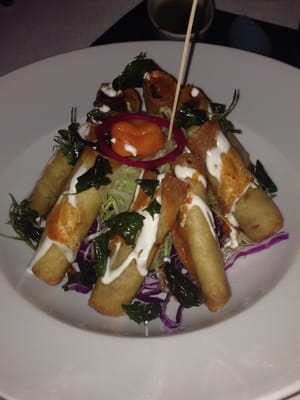 Dulce Patria by null