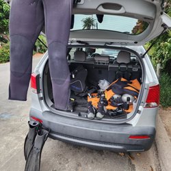 user provided Dive & Photo photo