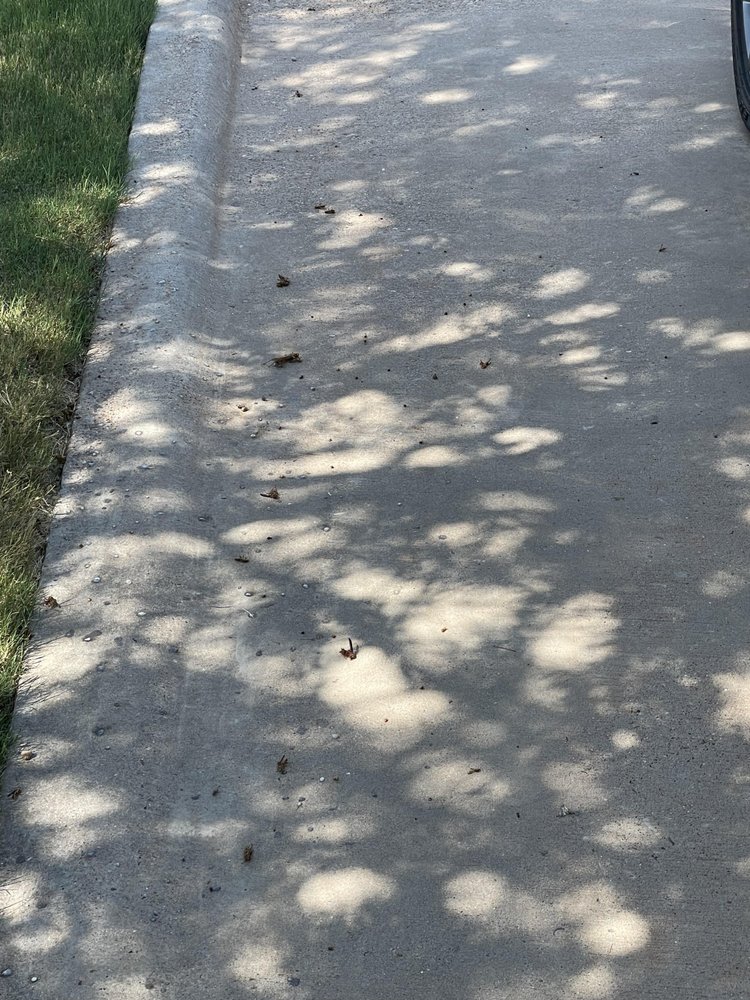 BUG BLASTERS PEST CONTROL Updated August 2024 1433 Cherry St