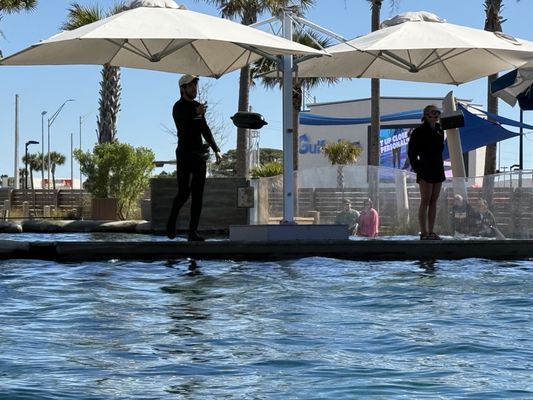 Gulfarium Marine Adventure Park by null