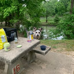 Hottie and I camping.
