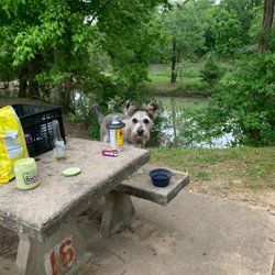 Tractor Supply - Hottie and I camping.