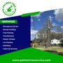 Photo of Palmer Tree Service
