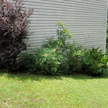 Adam's Yardscapes - Lawn Services Near Me