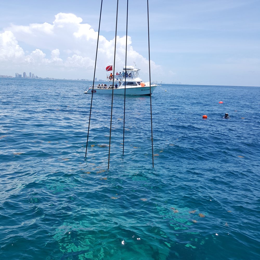 Neptune Memorial Reef - ...in Phase II!! July 2, 2018 - Funeral Services & Cemeteries Near Me - Miami, Florida
