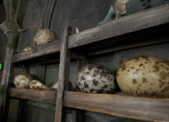 Hagrid’s Magical Creatures Motorbike Adventure by null