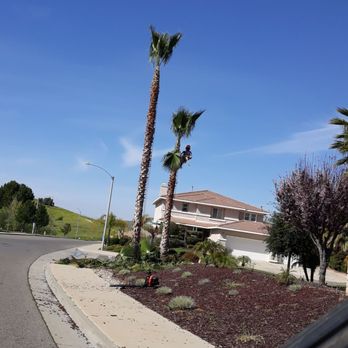 G & M Landscaping - Hoy - Tree Services Near Me G & M Landscaping - Hoy - Tree Services Near Me
