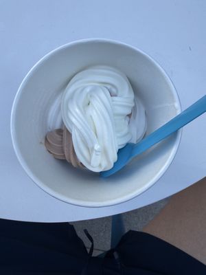 Go Greek Yogurt by null