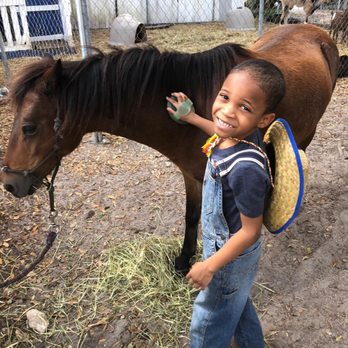 Happy Pony World - Horseback Riding Near Me - Davie, Florida Happy Pony World - Horseback Riding Near Me - Davie, Florida