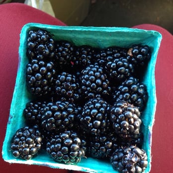 EVANS FRUIT STAND IN THE DALLES - Updated September 2025