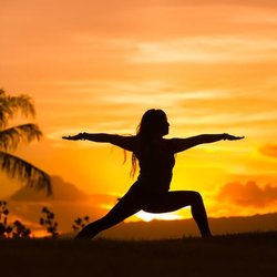 Adi Yoga Studio - Regular Yoga Sessions - Hatha/Vinyasa/Power Yoga