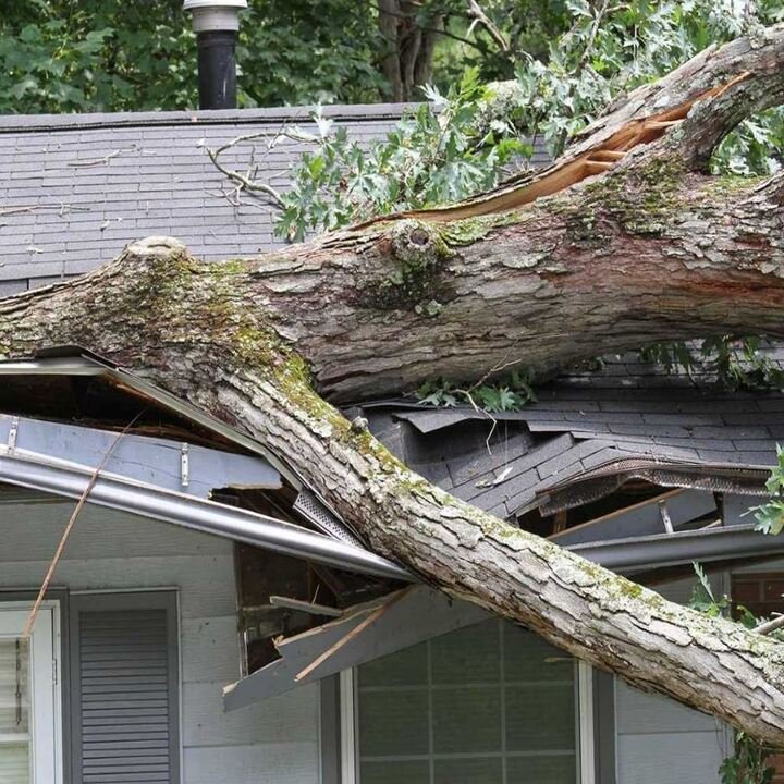 Slide of Savannah Roofs