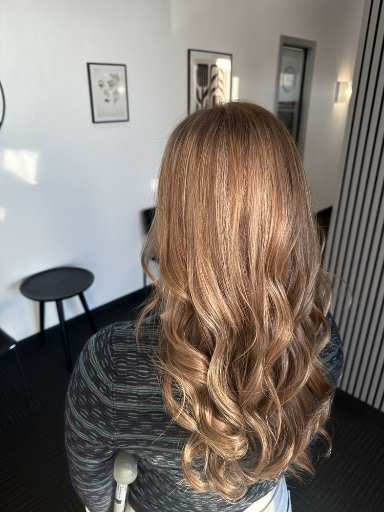 Hair By Elena Logo