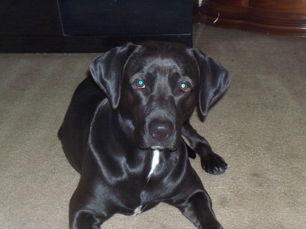 Slide of Soos Creek Renovations