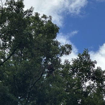 Wisner Rents Canoes - We saw three bald eagles while kayaking the Muskegon River - Rafting/Kayaking Near Me - Newaygo, Michigan Wisner Rents Canoes - We saw three bald eagles while kayaking the Muskegon River - Rafting/Kayaking Near Me - Newaygo, Michigan