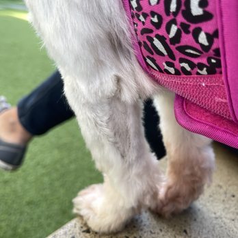 PetSmart - Pet Groomers Near Me - Foothill Ranch, California PetSmart - Pet Groomers Near Me - Foothill Ranch, California