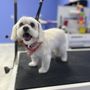 Photo of Furrever Love Pet Grooming