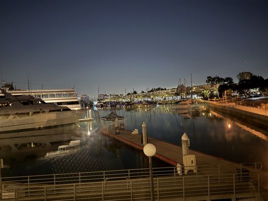 Killer Shrimp by null