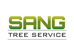 Sang Tree Service - tree service in Louisville, KY