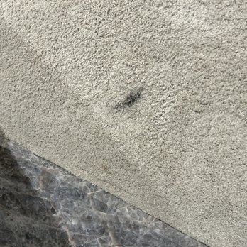 Chimney Clean Company - Soot stain left behind that needs steam cleaned to remove - Chimney Sweeps Near Me - San Jose, California Chimney Clean Company - Soot stain left behind that needs steam cleaned to remove - Chimney Sweeps Near Me - San Jose, California