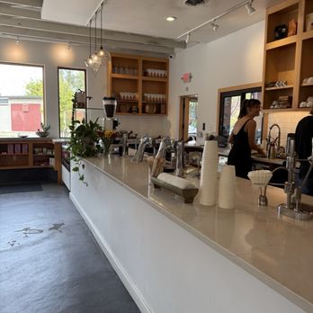 Fiddlehead Fern Café - Counter - Coffee & Tea Near Me - St Louis, Missouri Fiddlehead Fern Café - Counter - Coffee & Tea Near Me - St Louis, Missouri