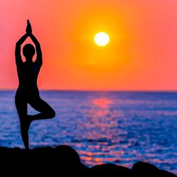 True Health By Krystal - Heal the mind, body, soul