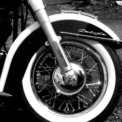 Appalachian Harley