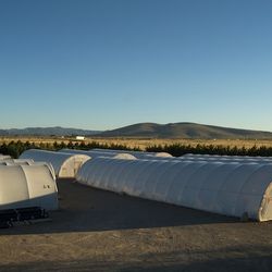 Prescott Valley Growers Wholesale - Wholesale yard