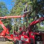 Photo of TNT Tree Service
