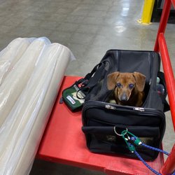 Floor & Decor - Kahlúa enjoyed the free ride!