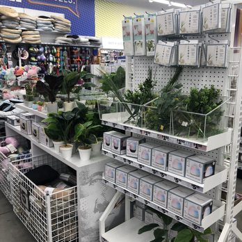 Five Below - Plants! - Discount Store Near Me - Orlando, Florida Five Below - Plants! - Discount Store Near Me - Orlando, Florida